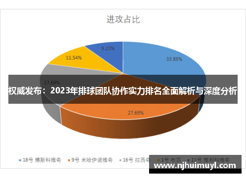 权威发布：2023年排球团队协作实力排名全面解析与深度分析